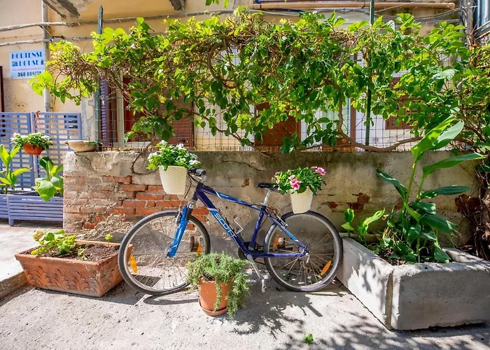 Hortensia House